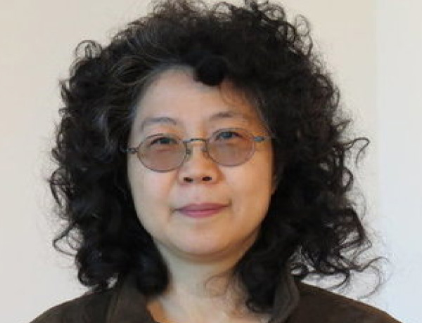 Research Highlights Statistics Professors Song Wu and Wei Zhu