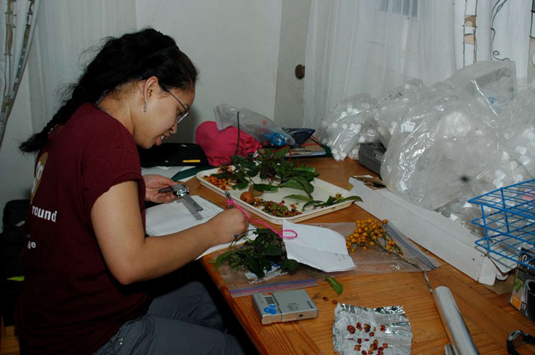 Dr. Onja Razafindratsima