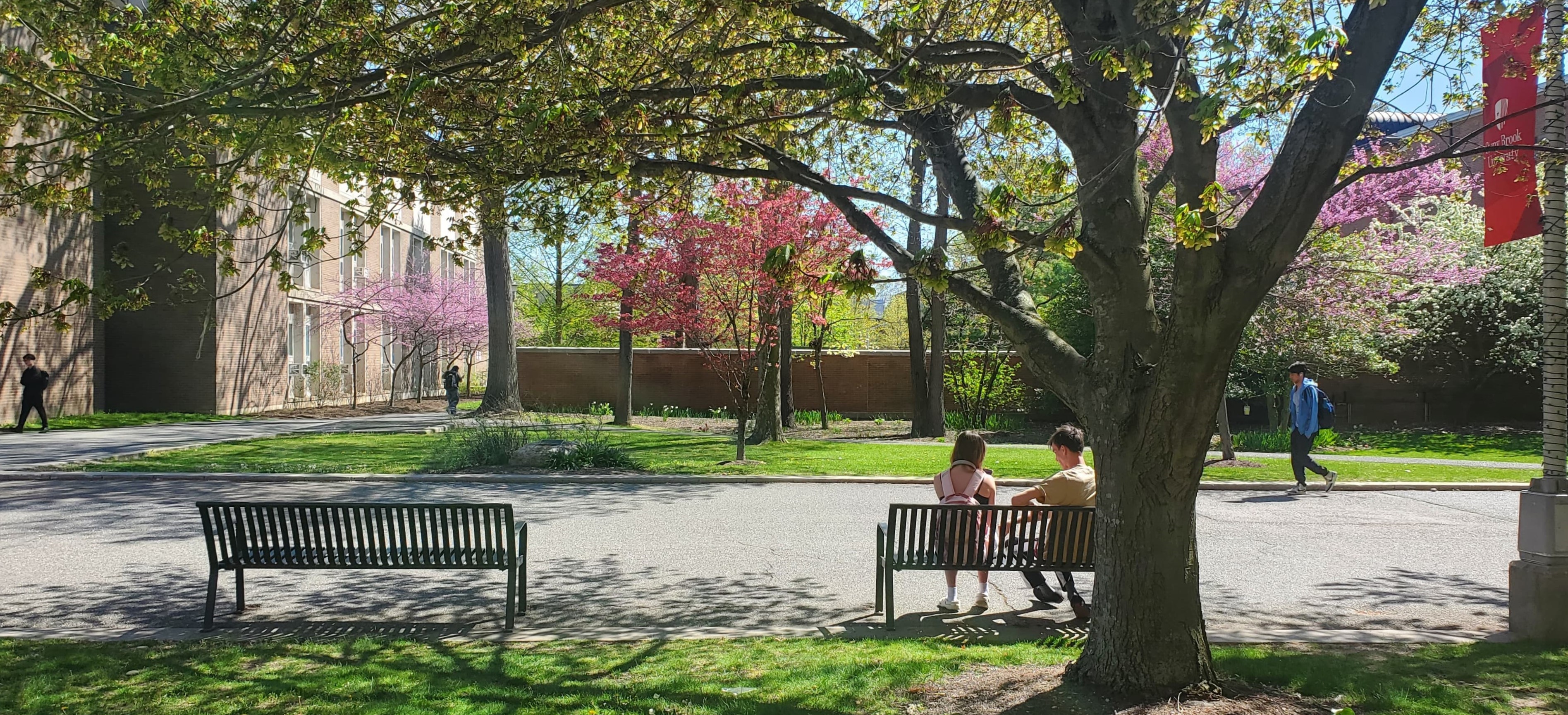 campus Stony Brook benches