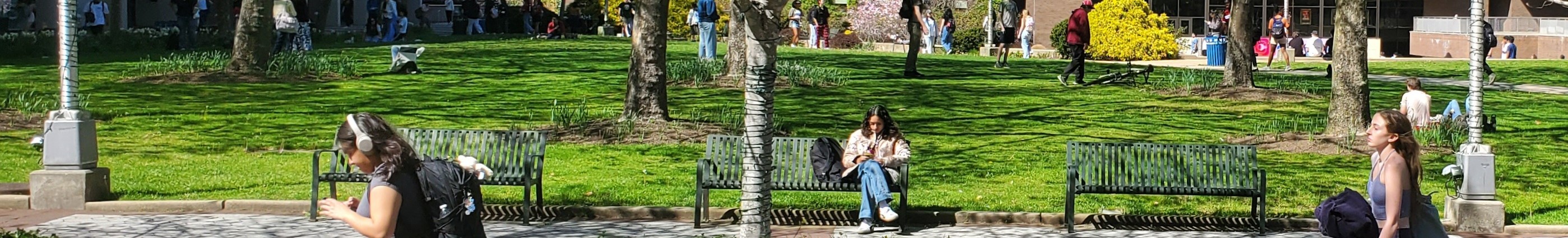 campus walkers and bench