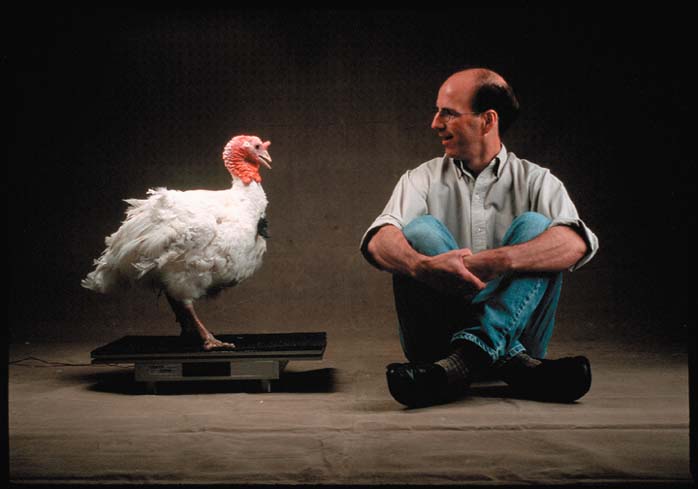 Clinton Rubin sits crosslegged on the floor staring at a live turkey standing to his left