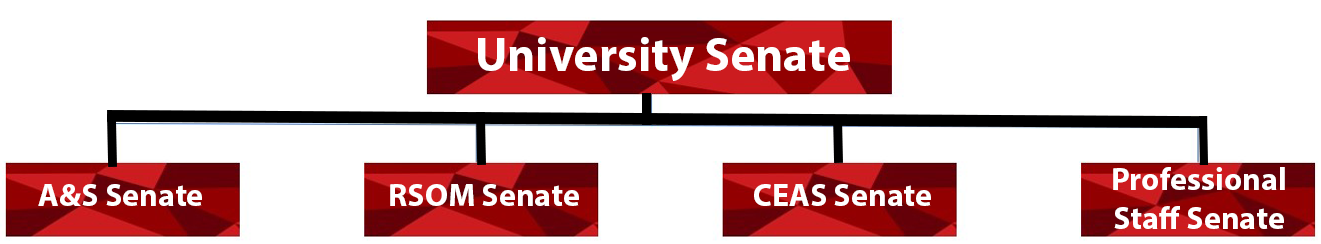 University Senate Structure and MGUs