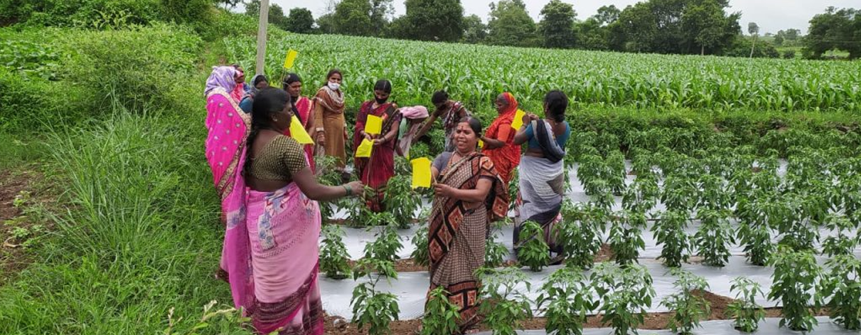 farming farming